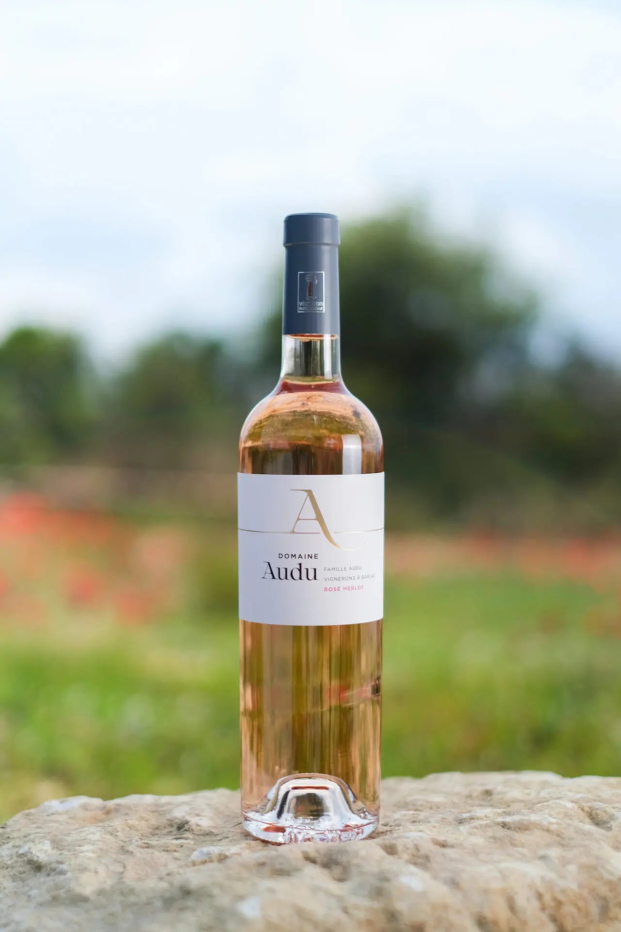 Rosé Merlot