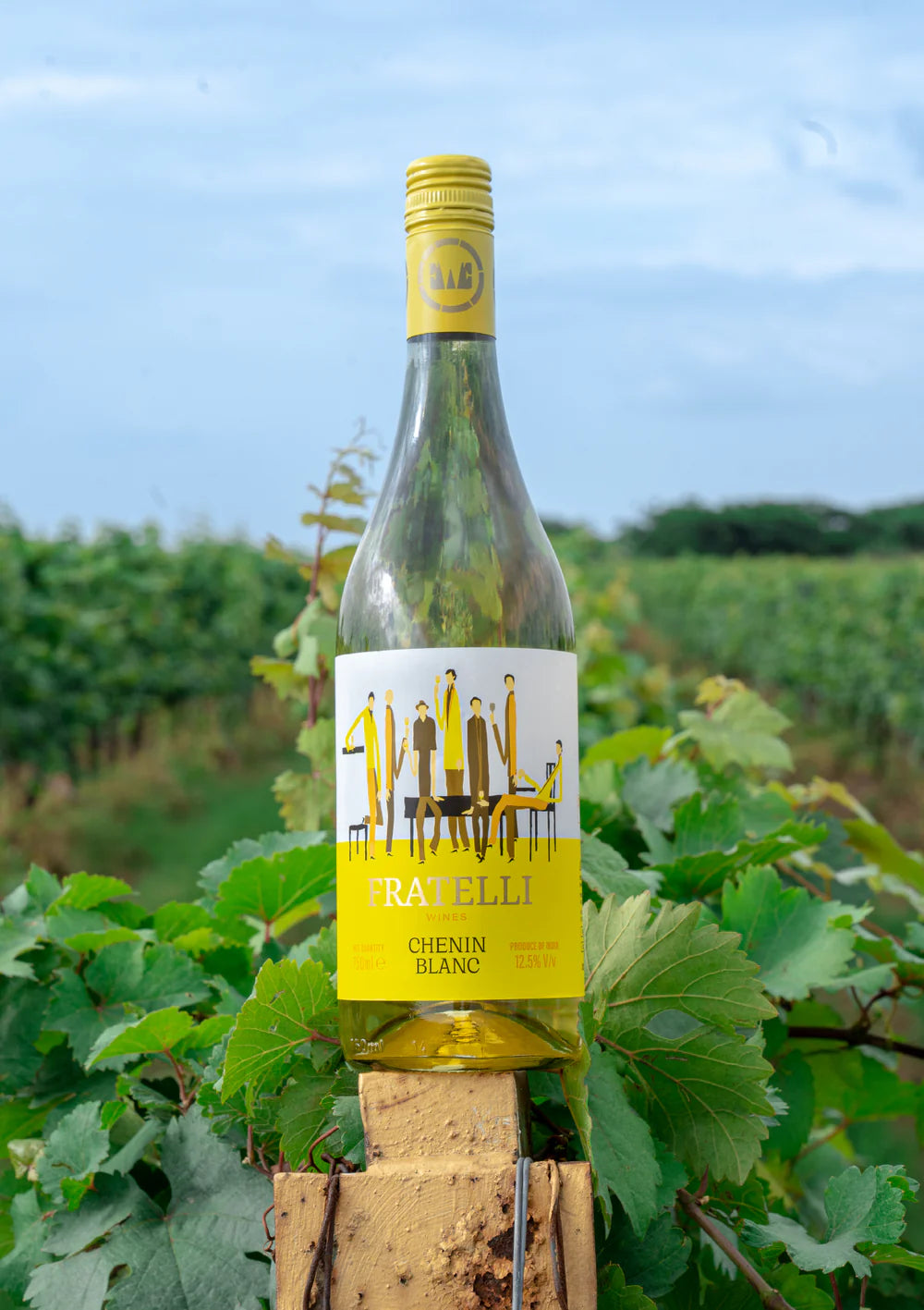 CHENIN BLANC
