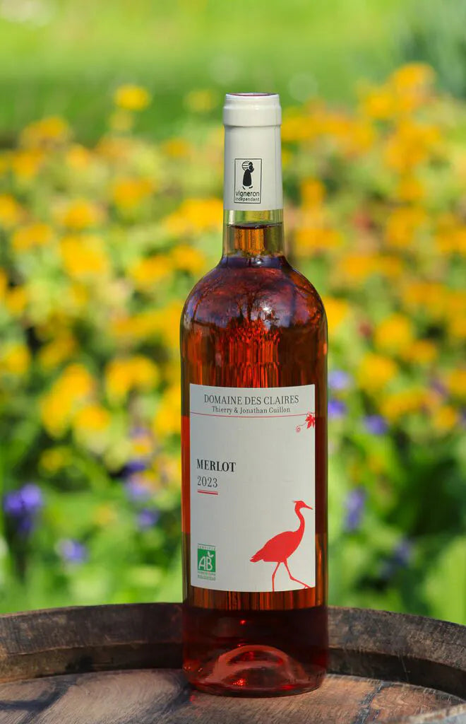Dry rosé Merlot