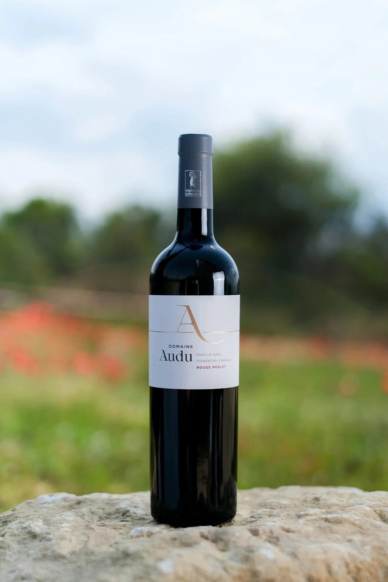 Merlot red